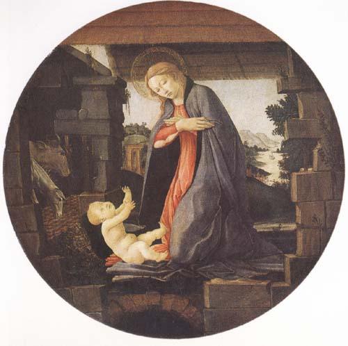 Sandro Botticelli Madonna in Adoration of the Christ Child oil painting picture